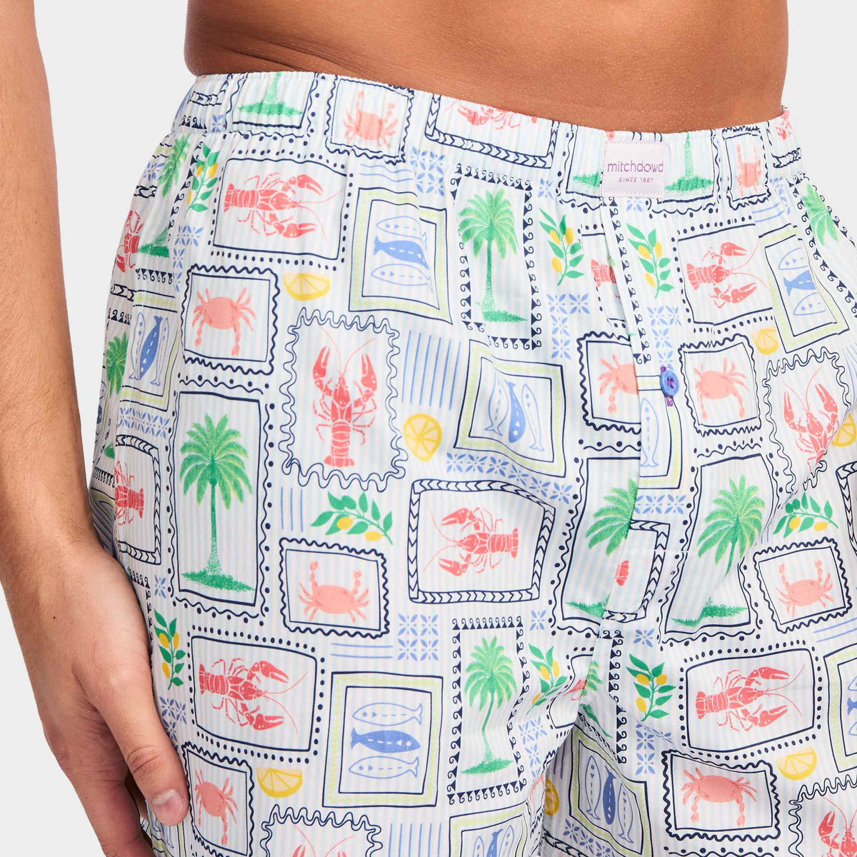 Mitchdowd Men's Cray Pots Cotton Boxers 3 Pack