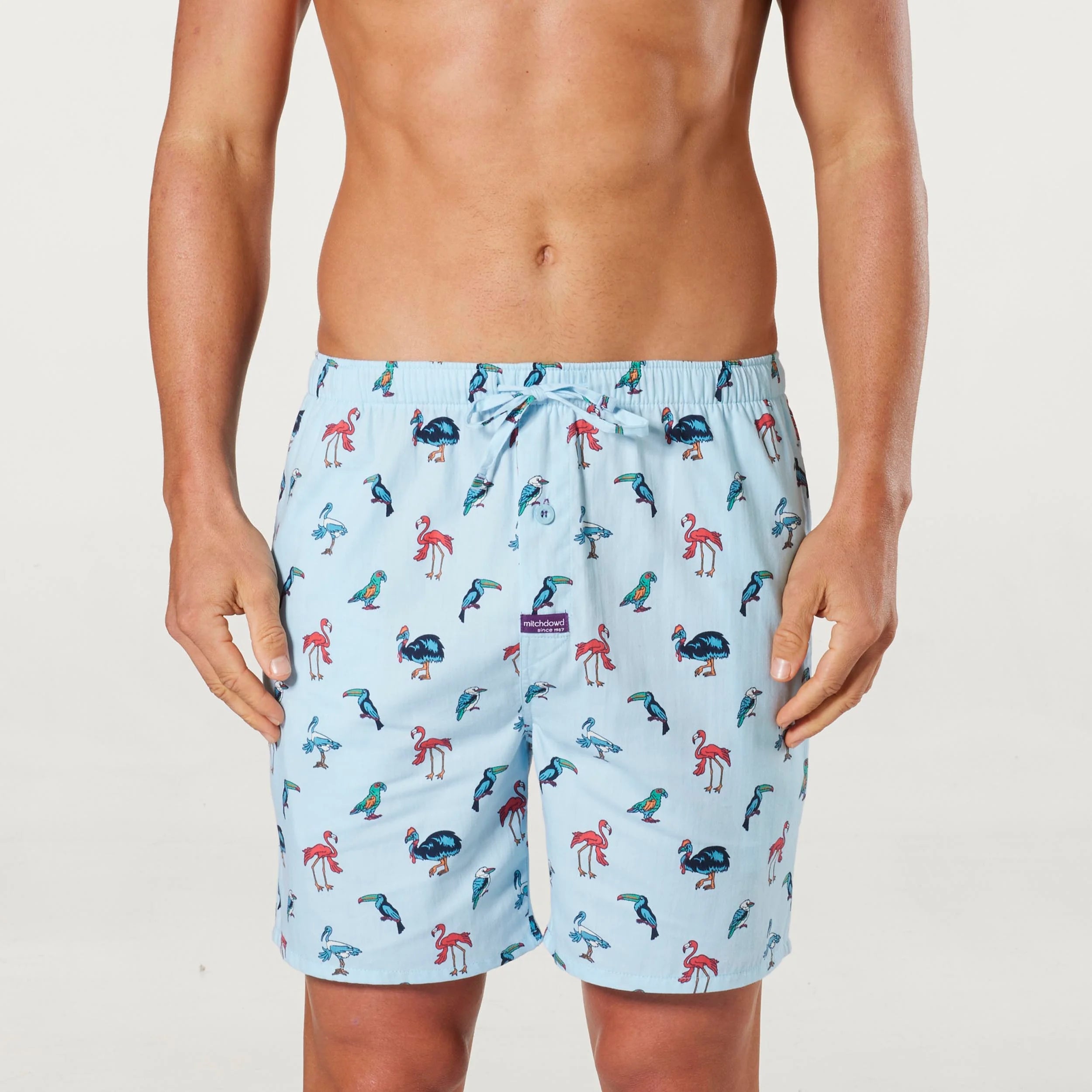 Men's Bird Song Cotton Sleep Shorts Image 1