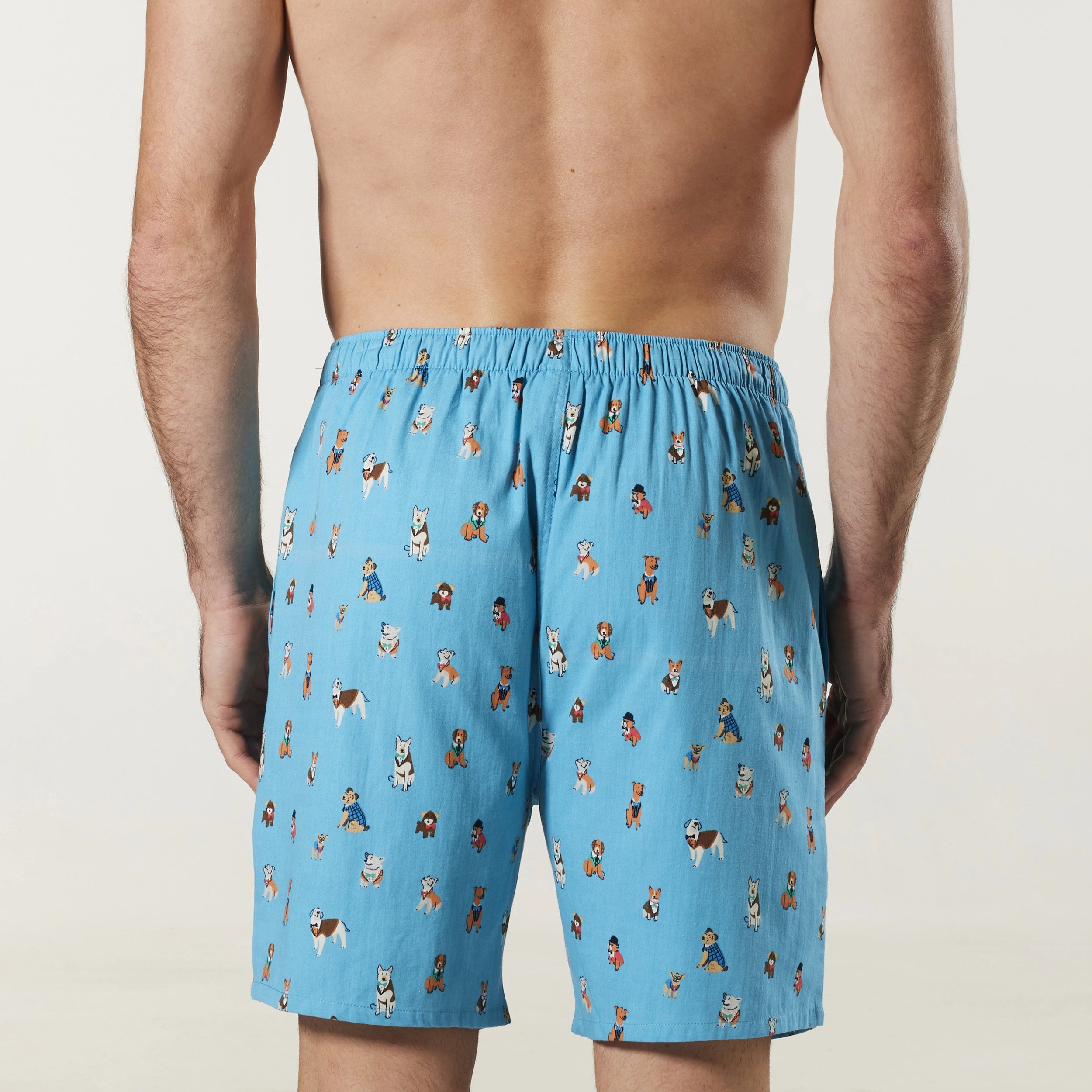 Men's Dressed Up Dogs Cotton Sleep Shorts Model Image 3