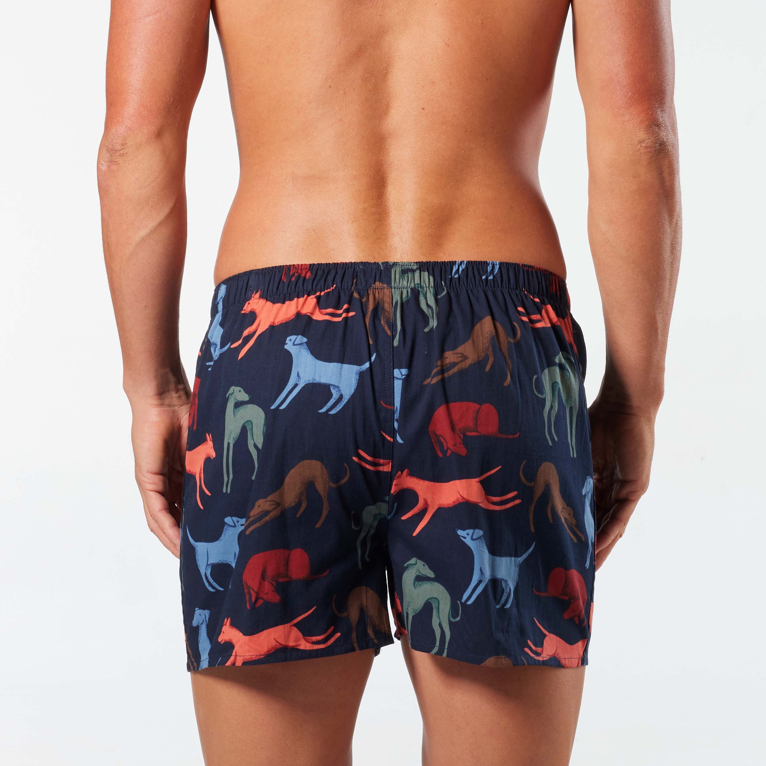 Men's Greyhounds Cotton Boxer Shorts - Navy - Image 3