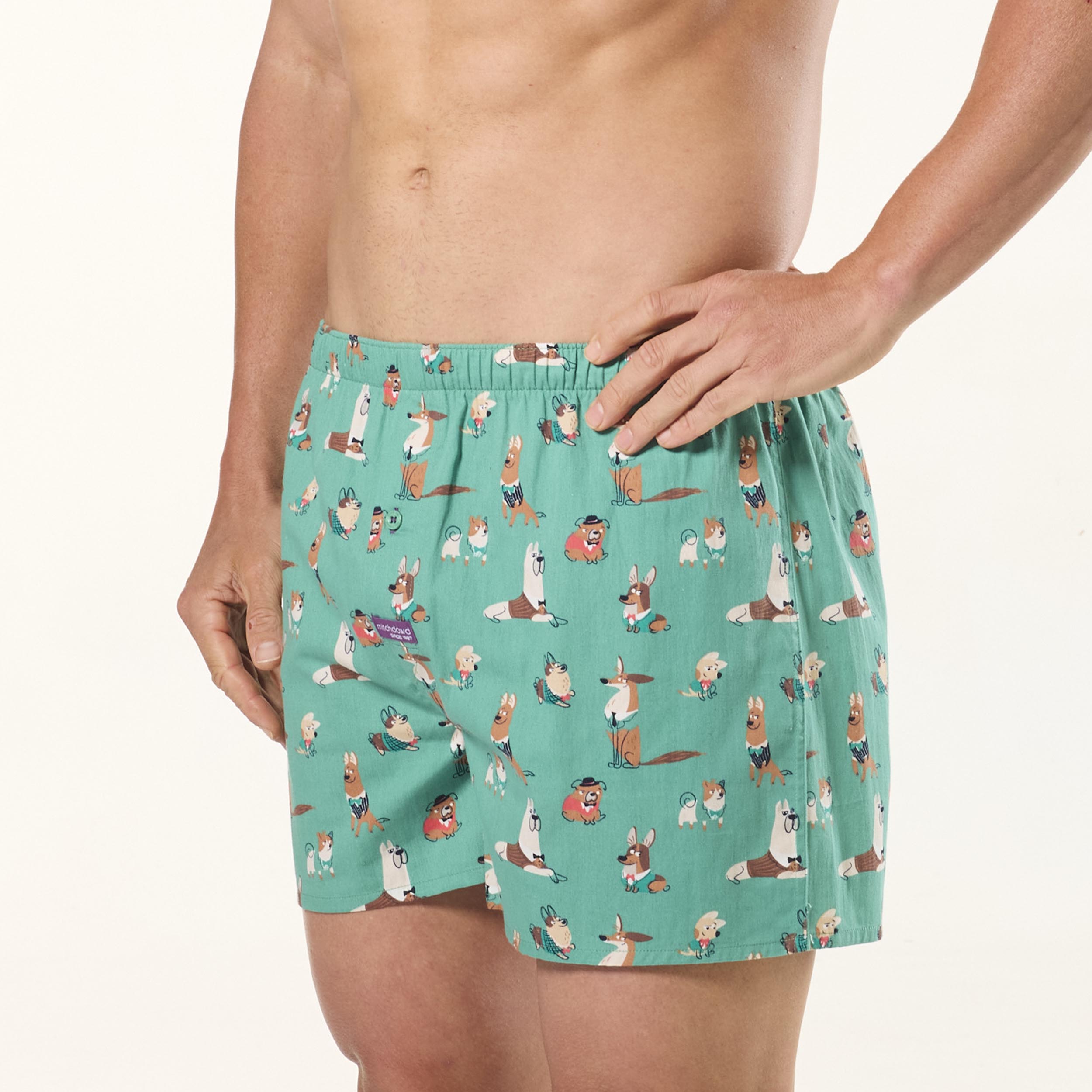 Men's How Much Is That Doggy Cotton Boxer Short 3 Pack - Green - Image 3