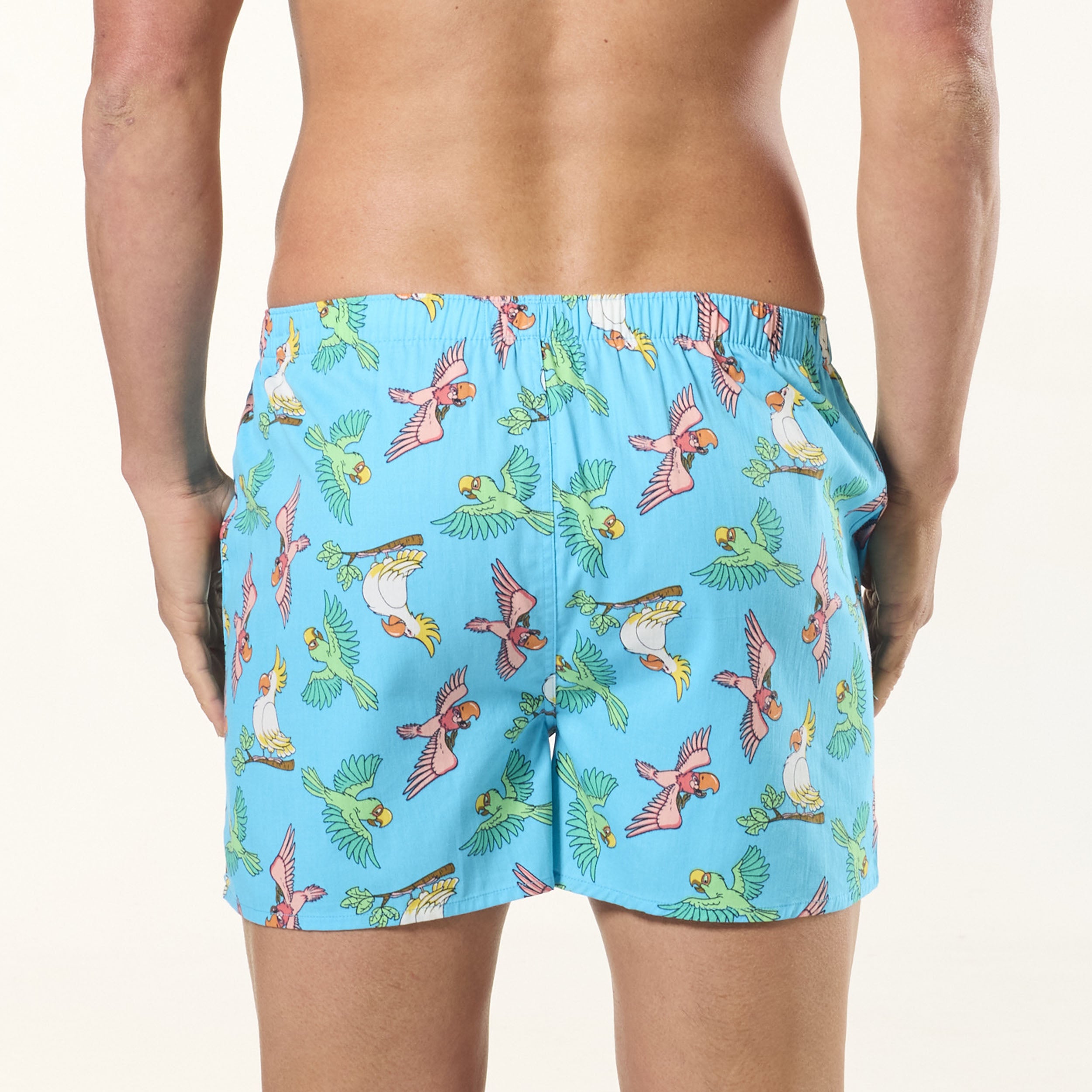 Men's Swooping Birds Cotton Boxer Short 3 Pack - Blue - Image 4