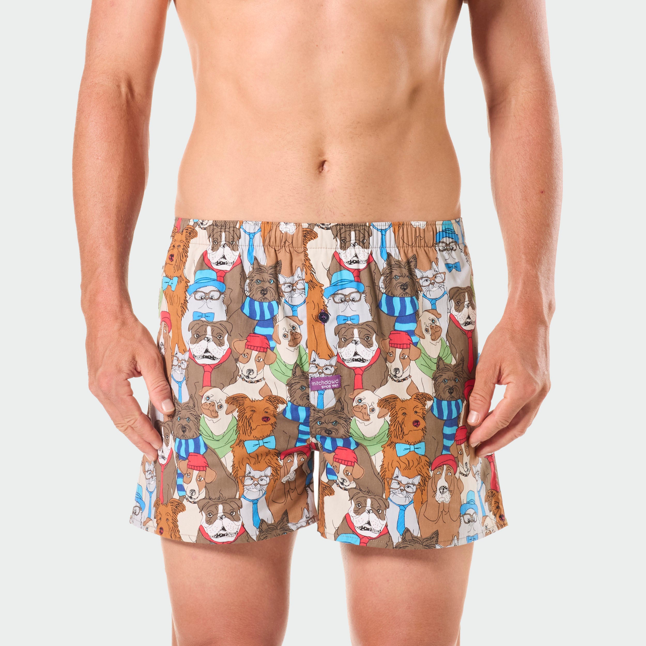 Men's Dawgs & Kittens Cotton Boxer Shorts - Multi - Image 1