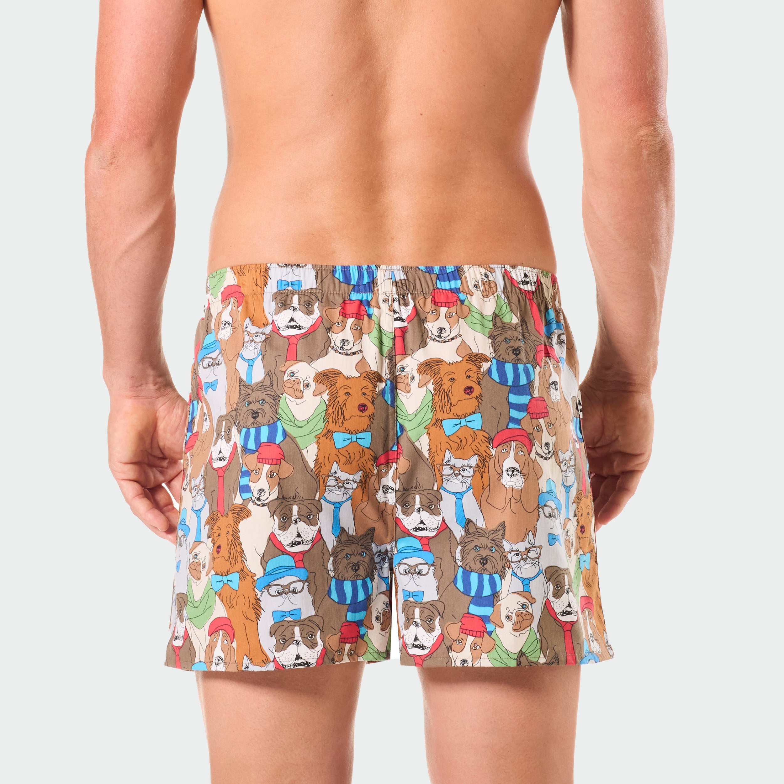 Men's Dawgs & Kittens Cotton Boxer Shorts - Multi - Image 3