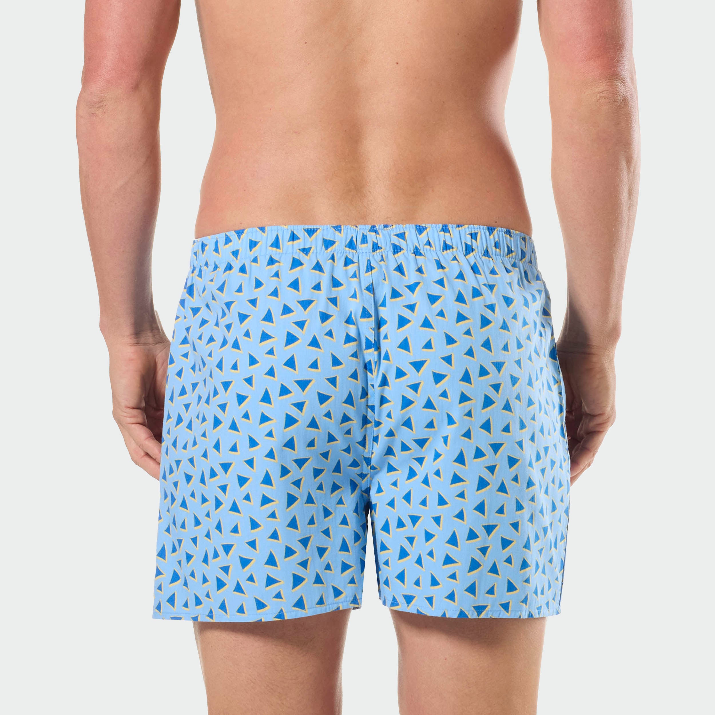 Mitchdowd Mens 3 Pack Beach Dog Boxer Shorts
