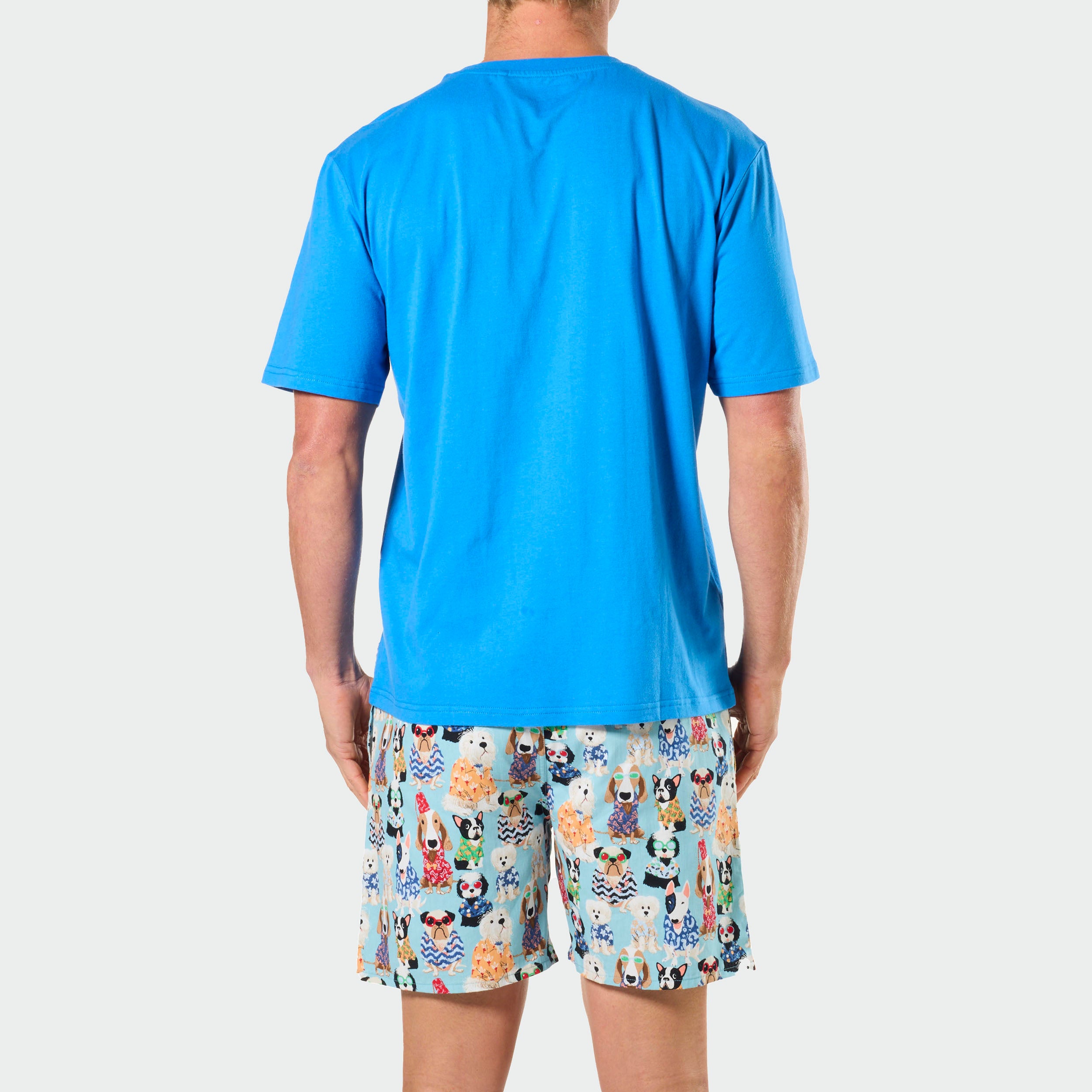 Men's Pyjama Set Best Dad Fur Real Dog Print T-Shirt & Woven Shorts