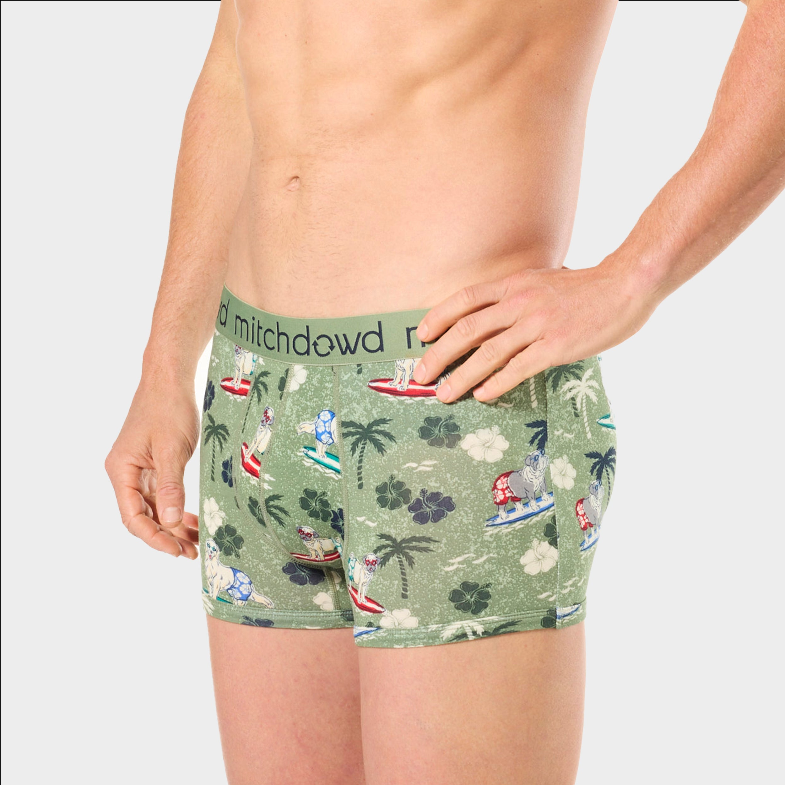 Men's Surf Pups Bamboo Trunk 2 Pack - Multi