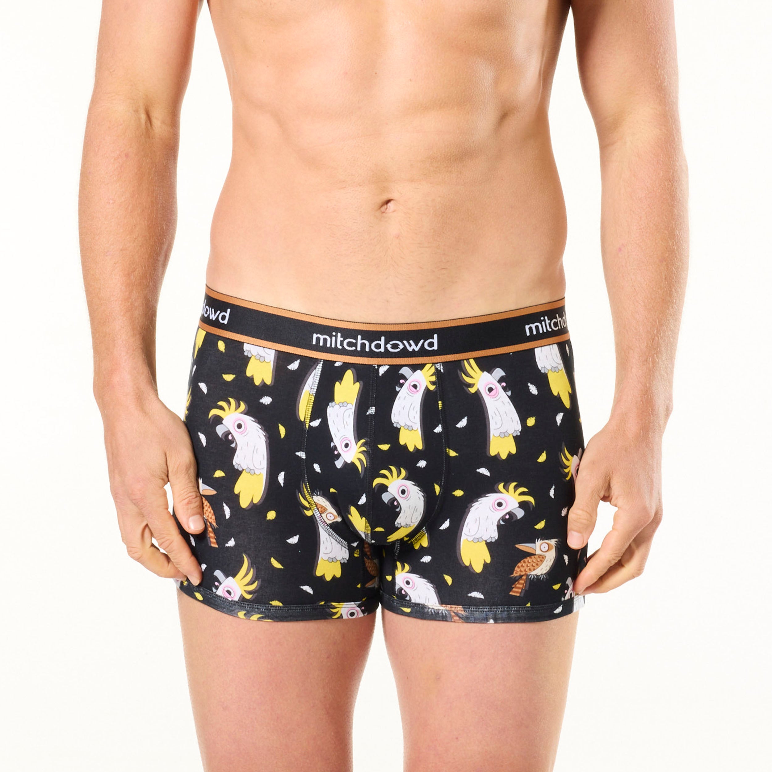 Mitch Dowd Men’s 3 Pack Trunks in Stripe, Grey and Cockatoo Design