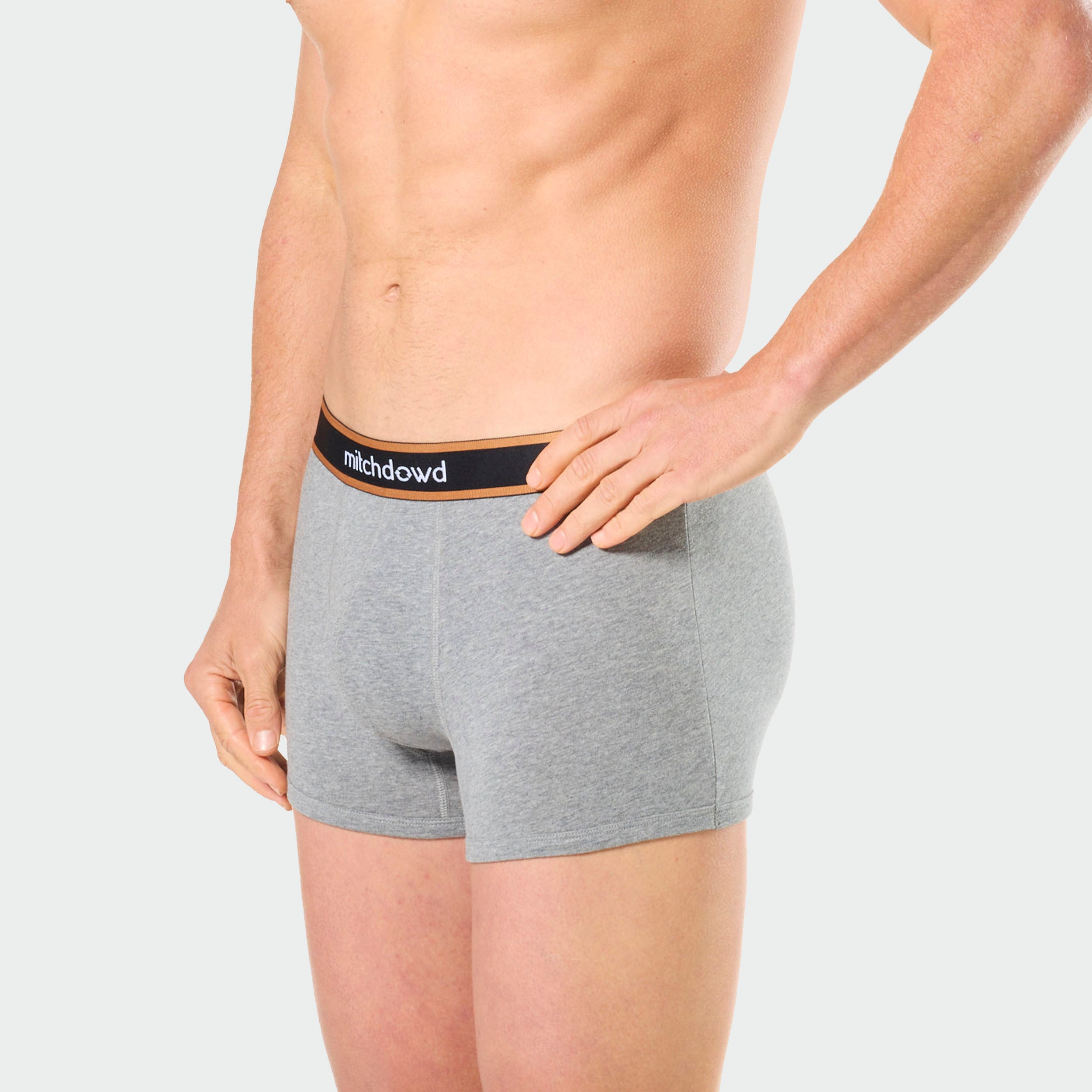 Mitch Dowd Men’s 3 Pack Trunks in Stripe, Grey and Cockatoo Design