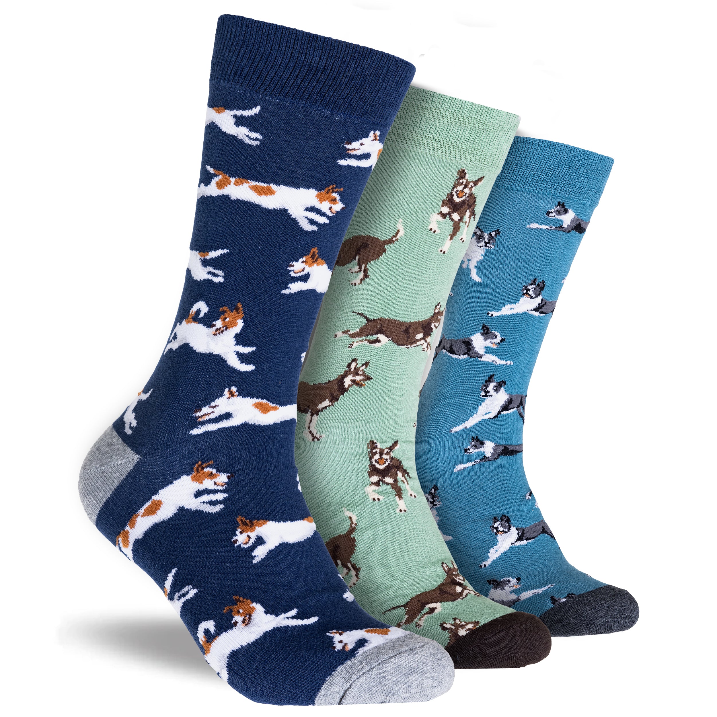 Men's Dog Feet Treats Cotton Crew Socks 3 Pack Gift Box - Blue & Greens - Image 2