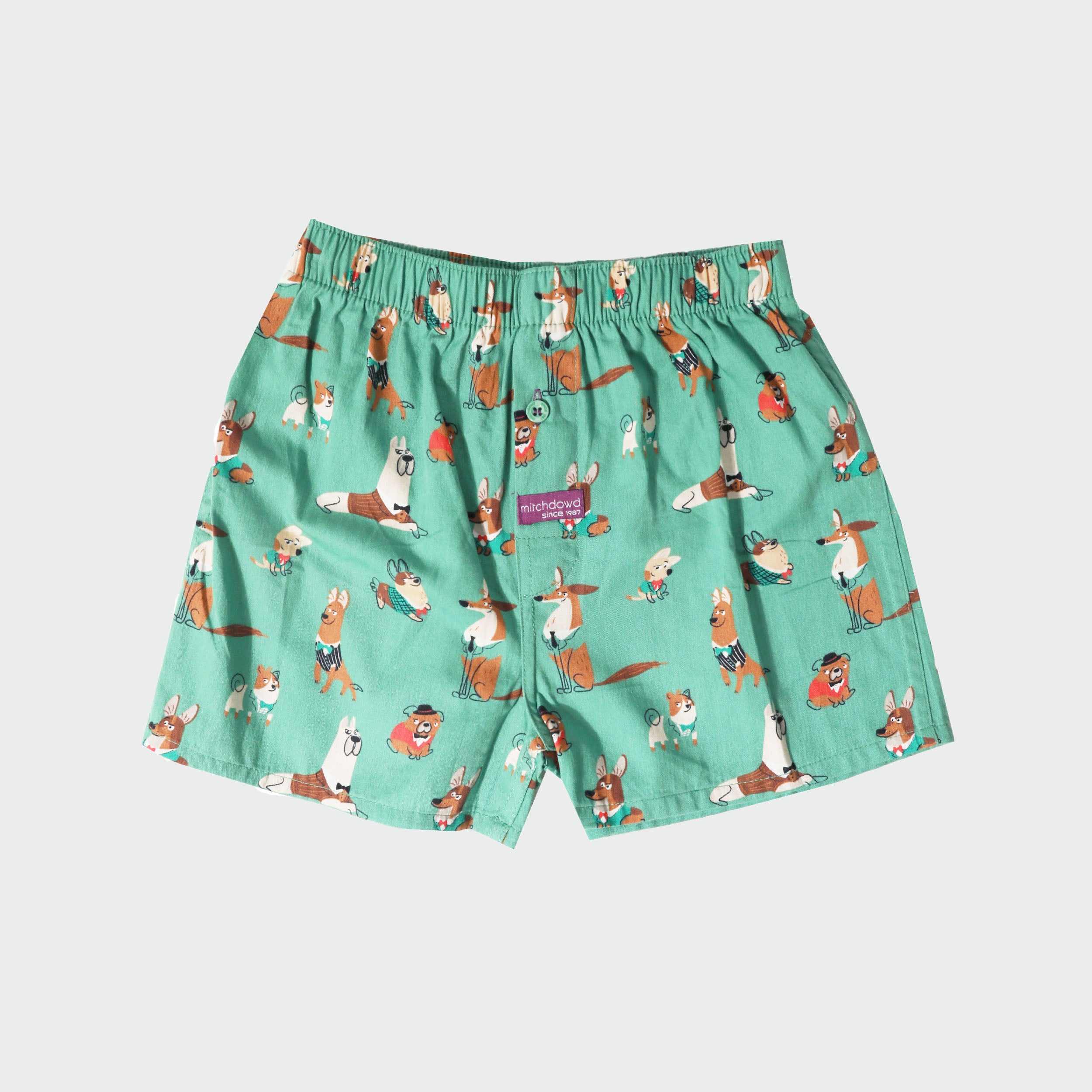 Boy's Doggy Cotton Boxer Shorts - Green